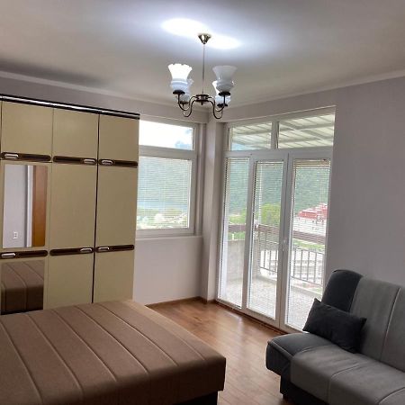 Linden Apartment Plužine Ngoại thất bức ảnh